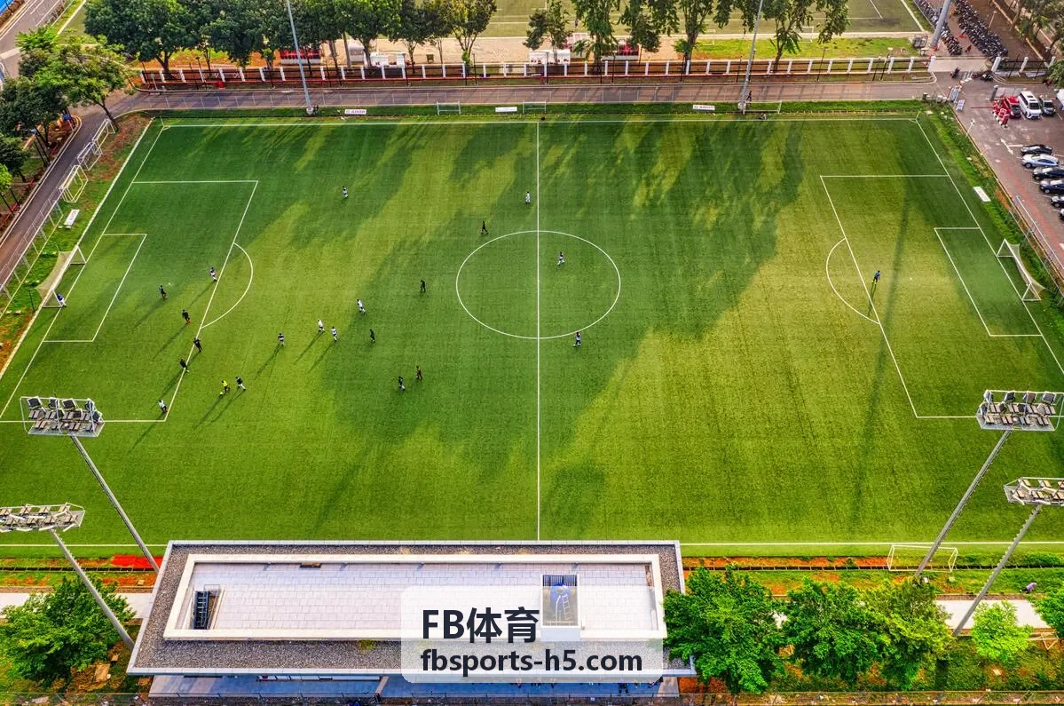 FB体育体能管理仪表盘